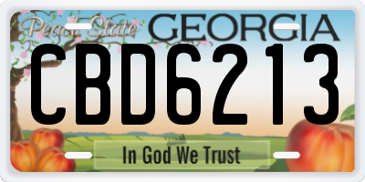 GA license plate CBD6213