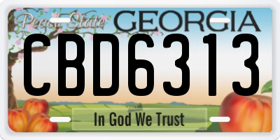 GA license plate CBD6313