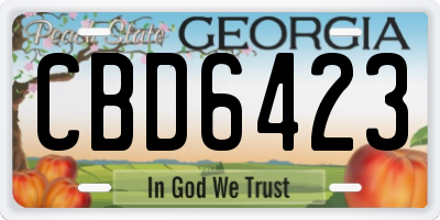 GA license plate CBD6423