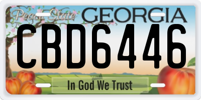 GA license plate CBD6446