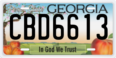 GA license plate CBD6613