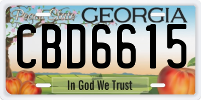 GA license plate CBD6615