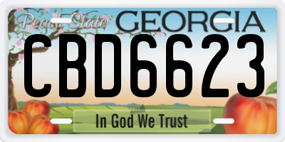 GA license plate CBD6623