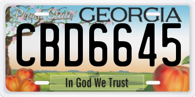 GA license plate CBD6645