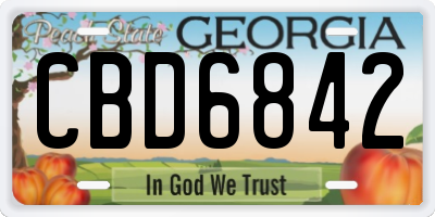 GA license plate CBD6842
