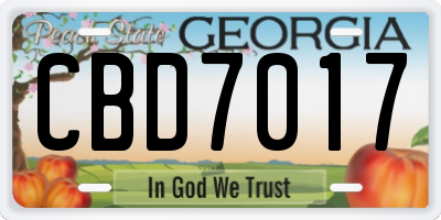 GA license plate CBD7017