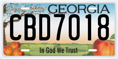 GA license plate CBD7018