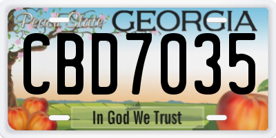 GA license plate CBD7035