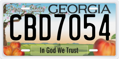 GA license plate CBD7054