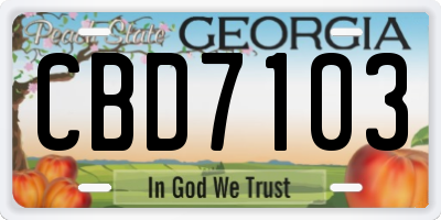 GA license plate CBD7103