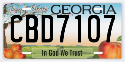 GA license plate CBD7107