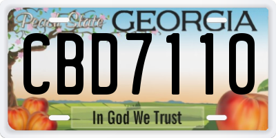 GA license plate CBD7110