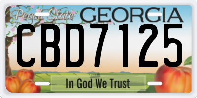 GA license plate CBD7125