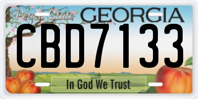 GA license plate CBD7133