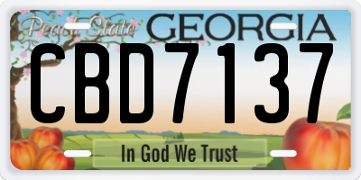 GA license plate CBD7137