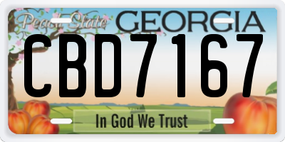 GA license plate CBD7167