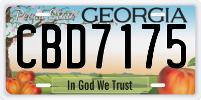 GA license plate CBD7175