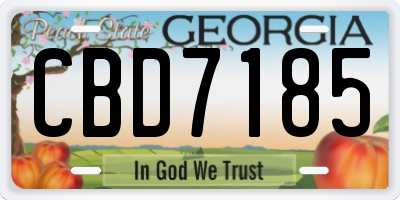 GA license plate CBD7185