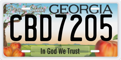 GA license plate CBD7205