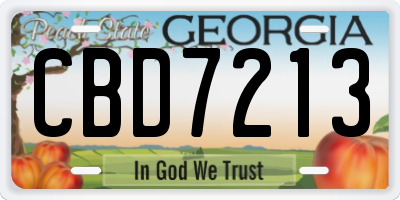 GA license plate CBD7213