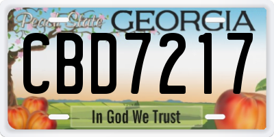 GA license plate CBD7217