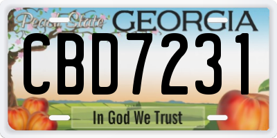 GA license plate CBD7231