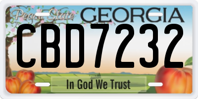 GA license plate CBD7232