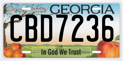 GA license plate CBD7236