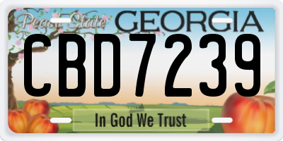 GA license plate CBD7239