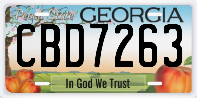 GA license plate CBD7263