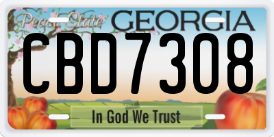 GA license plate CBD7308