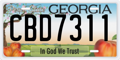 GA license plate CBD7311
