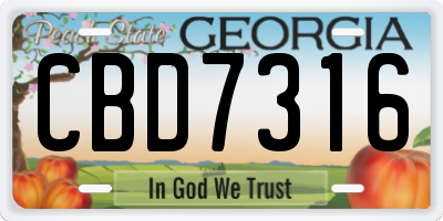 GA license plate CBD7316