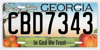 GA license plate CBD7343