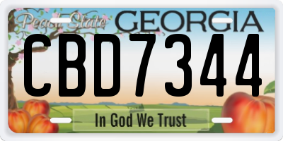 GA license plate CBD7344