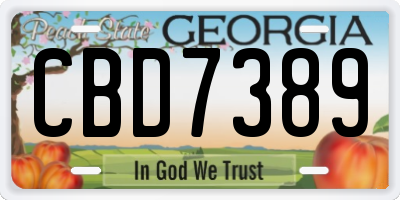 GA license plate CBD7389