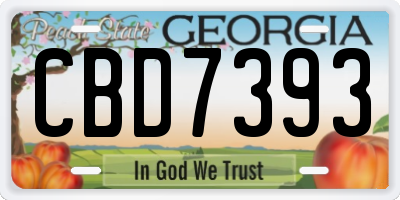 GA license plate CBD7393