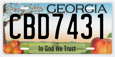GA license plate CBD7431
