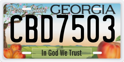 GA license plate CBD7503