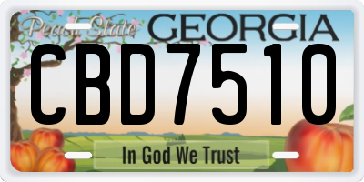 GA license plate CBD7510