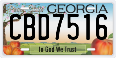 GA license plate CBD7516