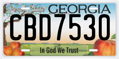 GA license plate CBD7530