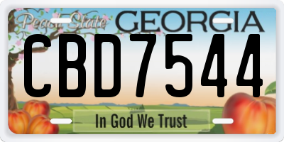 GA license plate CBD7544