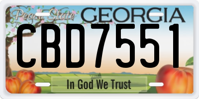 GA license plate CBD7551
