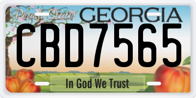 GA license plate CBD7565