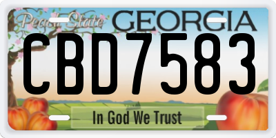 GA license plate CBD7583
