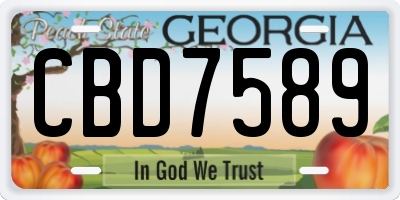 GA license plate CBD7589