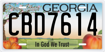 GA license plate CBD7614