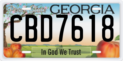 GA license plate CBD7618