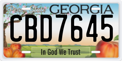 GA license plate CBD7645